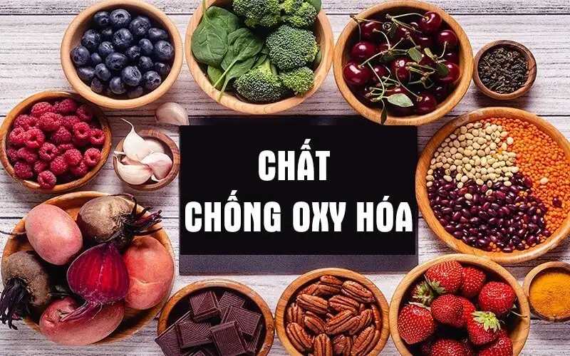 chất chống oxy hóa