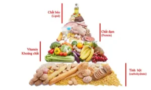 chế độ ăn uống cân bằng