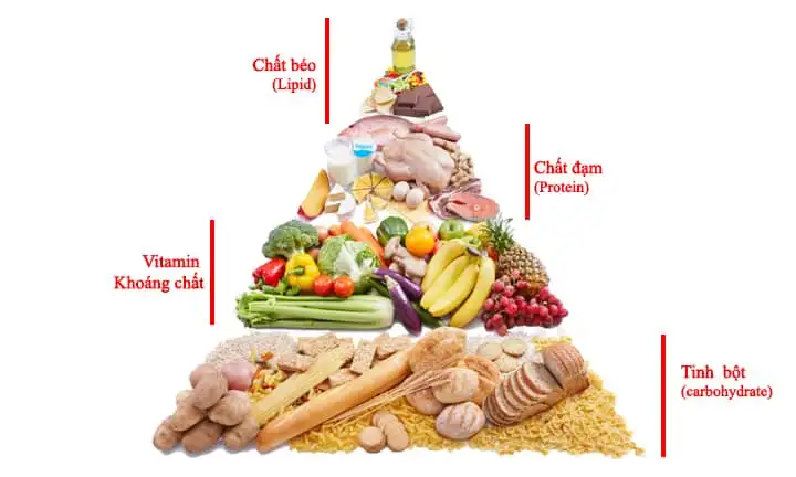 chế độ ăn uống cân bằng