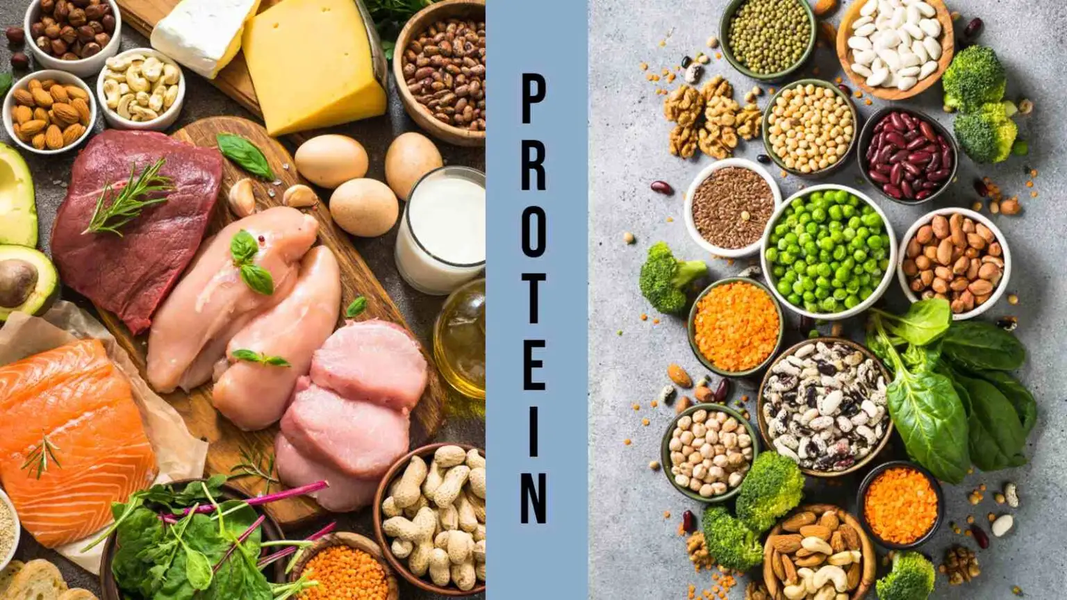 protein thực vật